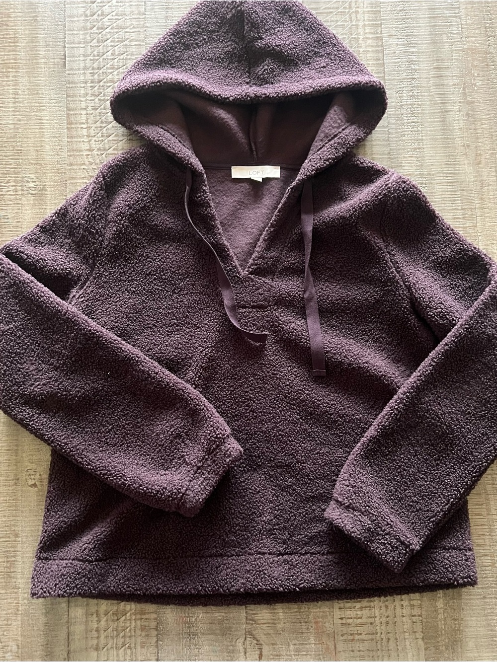 LOFT Plush Hoodie in Deep Bordeaux
